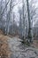 Strazov hill, Strazov Mountains, Slovakia