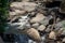 Stream of the Aanaivaari Muttal Waterfalls located in Kalvarayan Hills near Attur, Salem district, India