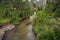 The stream above the Queen Mary Falls