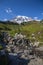 Stream across alpine meadows leads to views of Mount Rainier