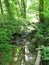 A stream along the Seneca Creek Rim trail in Maryland