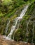 Stream blurred water,small waterfall in forest