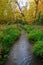 A stream called The Beck in Harvington Park, Beckenham, Kent, UK