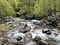 Stream Calnegia or Fiume Calnegia, Foroglio The Bavona Valley or Valle Bavona, Val Bavona or Das Bavonatal