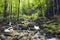 Stream at Cascade du Herisson in France