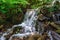 Stream cascade flowing in forest