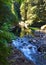 Stream Cascade Mountains Forest Hike