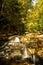 Stream cascading through a forest at Ricketts Glen State Park in Pennsylvania, USA