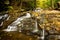 Stream cascading through a forest at Ricketts Glen State Park in Pennsylvania, USA