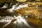 Stream cascading through a forest at Ricketts Glen State Park in Pennsylvania, USA