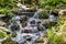 Stream of clean and crystalline water of a river that flows between the stones with moss forming a small waterfall