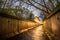 A stream in a concrete ditch or rainwater channel at night in forest with flying lighting warm light (freezelight).