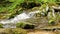 Stream, creek in the mountains, spring, green moss on stones, water flowing over boulders