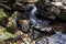 Stream flanked by dark wet rocks covered in autumnal leaves