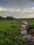 Stream Flow In Countryside Forest In Monsoon Under Blue Sky