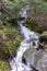 Stream flowing down the mountain surrounded by rocks and autumn colored leaves