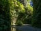 Stream Flowing Through Fern Canyon, Redwoods National Park