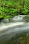 Stream Flowing Through The Forest