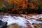 Stream flowing through golden fall forest