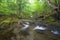 Stream flowing over rocks through lush forest with silky smooth water