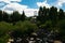 Stream flowing trough greenery, city of Breckenridge Colorado USA