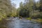 a stream of flowing water in the remote woodland of Sweden