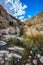 The stream flows through gorge Ein Gedi