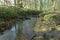 Stream, forest, natural, nature, calm, roots, water, woodland, water, Yorkshire