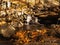 Stream formed from a waterfall captured in a forest in fall colors and yellow foliage under sunlight