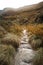 Stream of fresh and clean water in the middle of the nature of the mountains and pastures