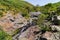 A stream of fresh water flowing into a natural pool surrounded by spring plants in Nahal Eit,