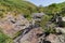 A stream of fresh water flowing into a natural pool surrounded by spring plants in Nahal Eit,