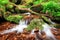 Stream gently cascading down a mountain forest