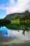 Stream in Hollyford, Fiordland National Park