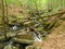 Stream HÃ¶llbachgspreng, wooded rock massif