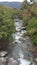 A stream I stumbled upon on my hike.