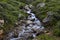 Stream at Independence Pass, Colorado