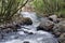 Stream in the Intag Valley