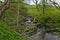 Stream by Ivelet Bridge, Upper Swaledale, Yorkshire Dales, North Yorkshire, England, UK
