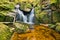 Stream in Jizera mountains, Czech Republic