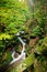 Stream in Jizera mountains, Czech Republic