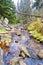 A stream in the Karkonosze Mountains. flowing among stones and trees