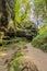 Stream with little water between a huge rock formation and a dirt road disappearing into the background