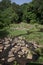 Stream in lush Lake Manyara, Tanzania