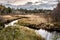 Stream Through Marsh in Northern Maine