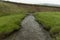 Stream on a meadow in the mountains