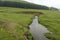 Stream on a meadow in the mountains