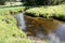 Stream in the middle of sumava forest in czehc republic