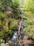 Stream in the middle of sumava forest in czehc republic