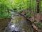 Stream in the middle of the woods of the Cleveland Metroparks in Ohio